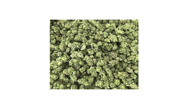 more light is more weed