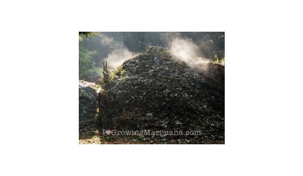 organic compost marijuana
