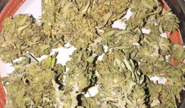 Afcrack Strain Effects