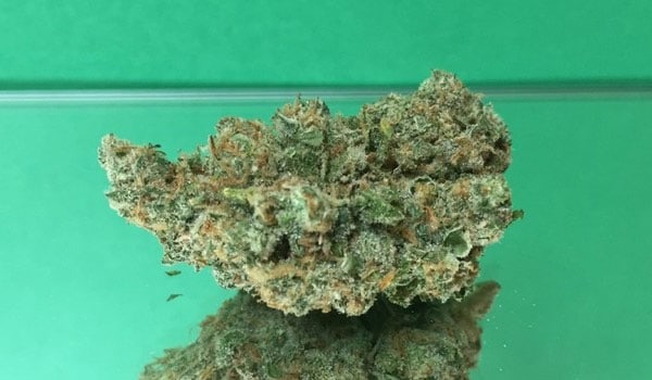 Area 51 Strain Effects