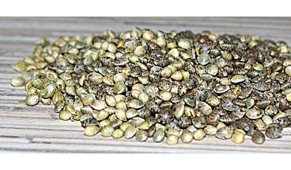 Breeding autoflower