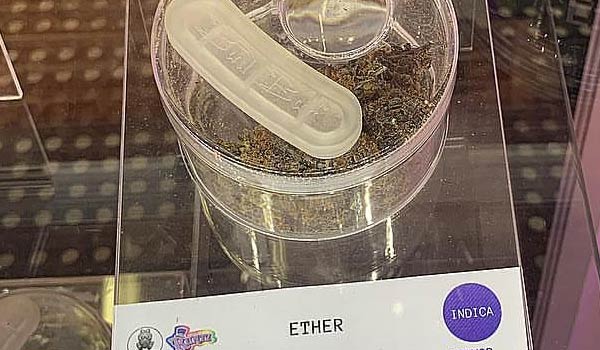 Ether Strain Growing