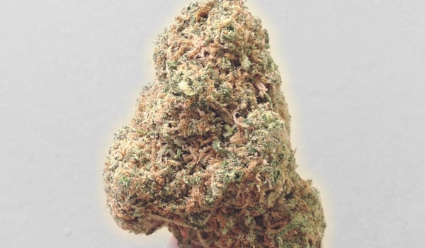 Incredible Hulk Strain Effects