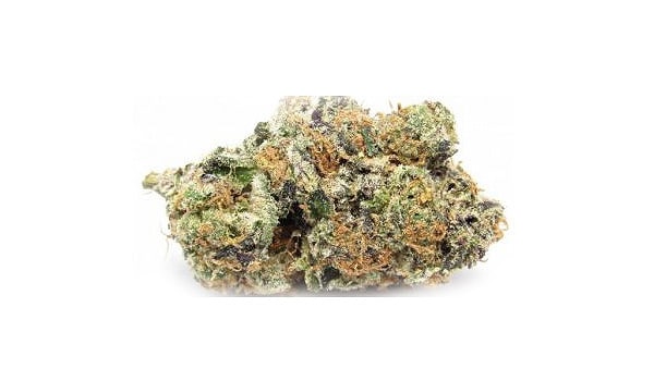 Incredible Hulk Strain Growing
