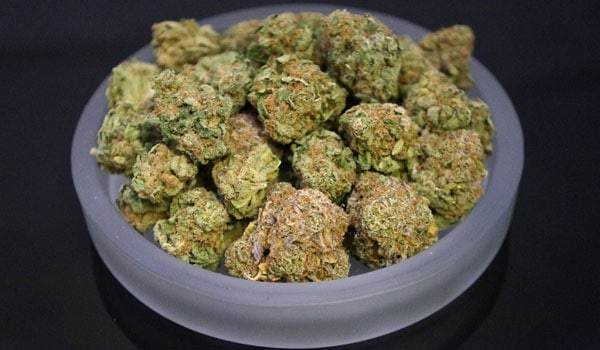 Madcow Strain Effects