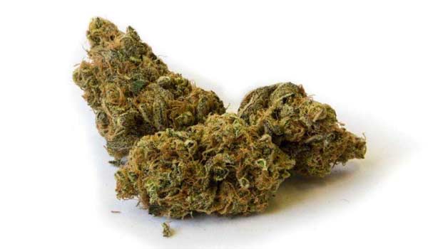Madcow Strain Medical