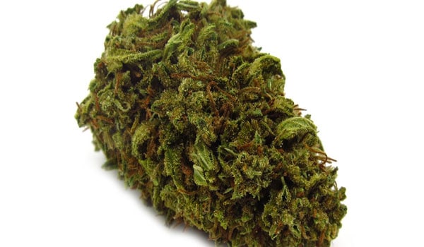 Pineapple OG Strain Medical