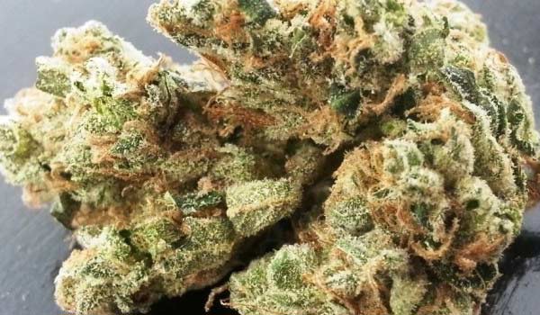 Sour Ape Strain Effects