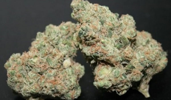 Super Sour OG Strain Effects