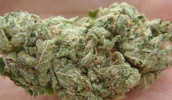 Super Sour OG Strain Medical