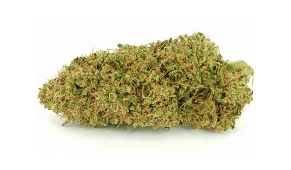 Sweet Dreams Strain Effects
