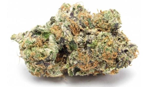 Sweet Dreams Strain Medical