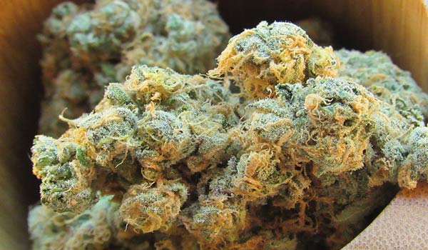 White Dream StrainEffects