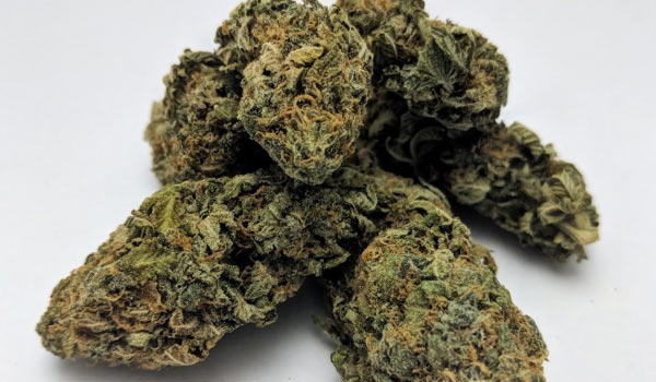 Yeti OG Strain Medical
