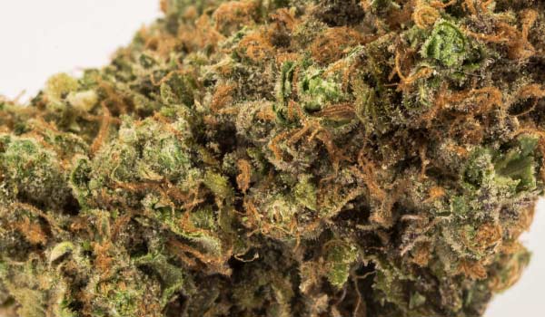Zkittlez Strain Adverse Reactions