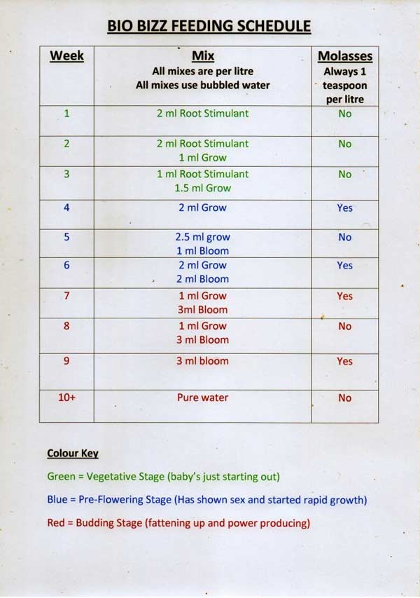 bio bizz feeding schedule