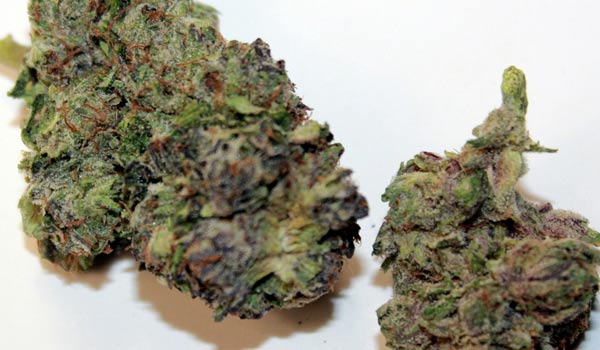 Purple Bubba Strain Effects