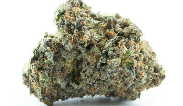 Purple Bubba Strain Medical