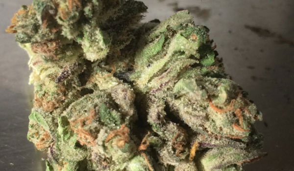 Rip City Purps Strain Effects