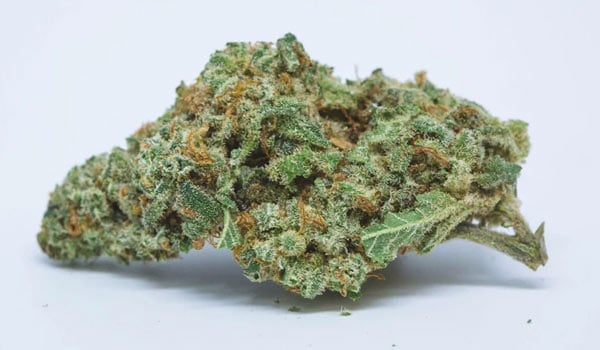 Sour Banana Sherbet Strain Effects