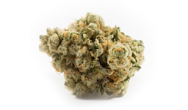 Sour Banana Sherbet Strain Medical