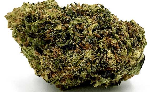 Sour Headband Strain Medical