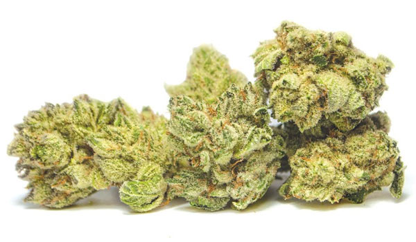 Big Skunk Korean Strain Medical
