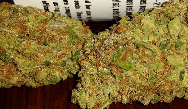 Flo Limone Strain Medical