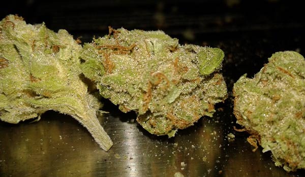 Memory Loss Strain Effects