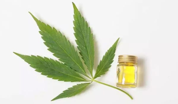 history of CBD oil