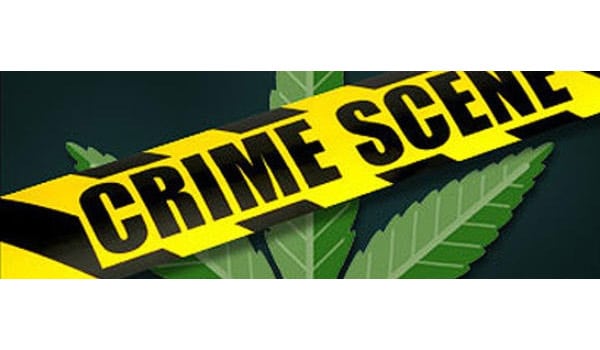 Breaking Marijuana Law California