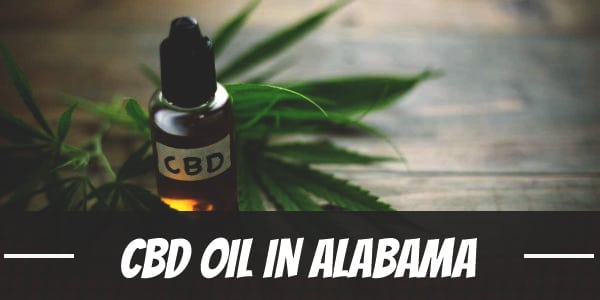Your Guide to CBD Oil in Alabama