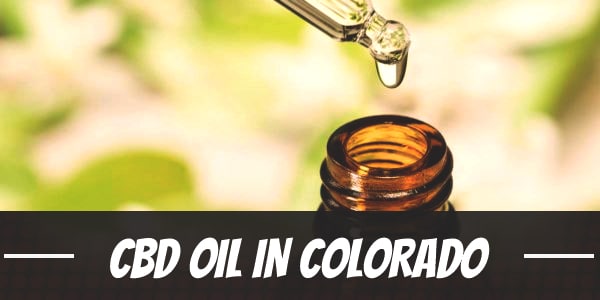 Your Guide to CBD Oil in Colorado