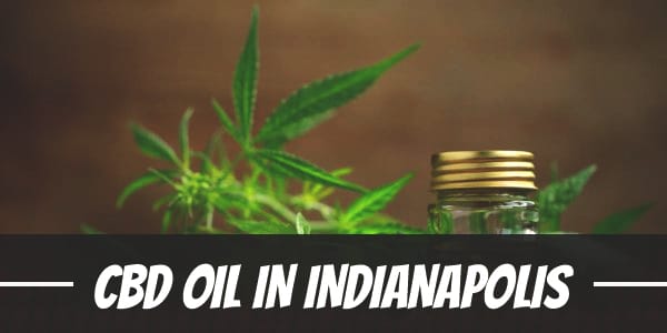 Your Guide to CBD Oil in Indianapolis
