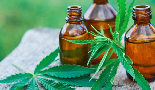Grow CBD oil not an option
