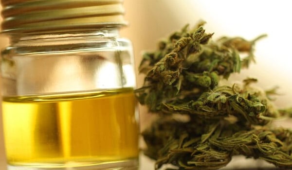 History of CBD oil legalization in Indianapolis