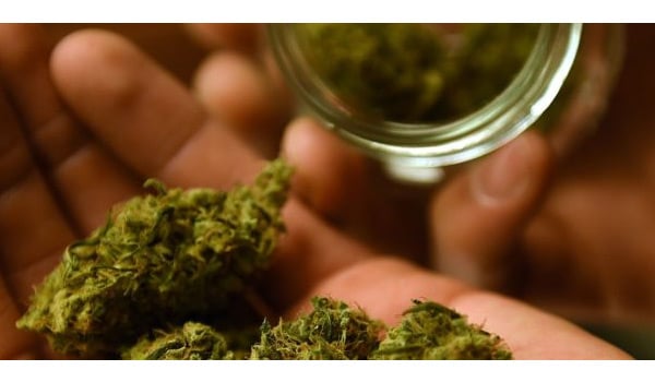Possessing Marijuana California