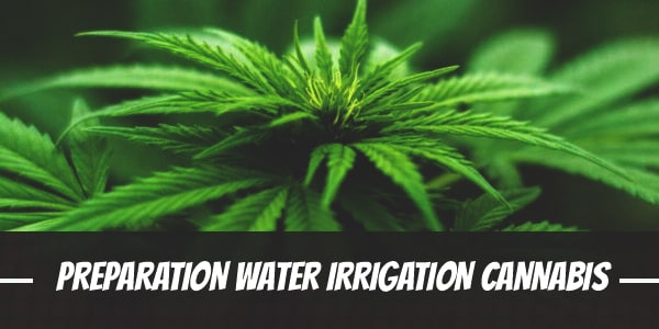 Preparation of Water for Irrigation of Cannabis
