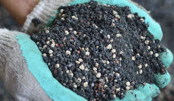 Teeming with Nutrients