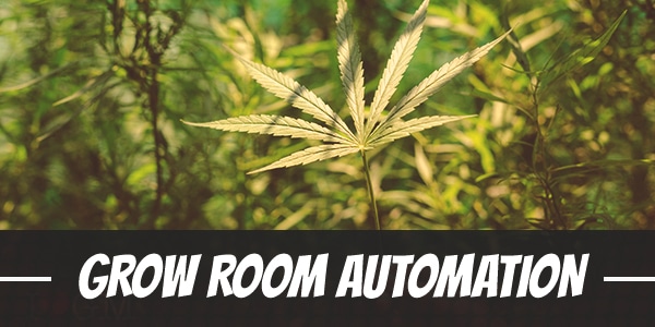 Grow Room Automation At Home