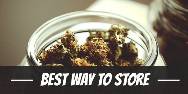 Best Way to Store Weed