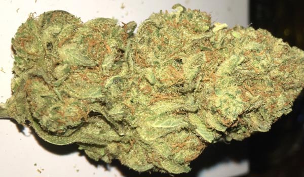 Blue Nina Strain Effects