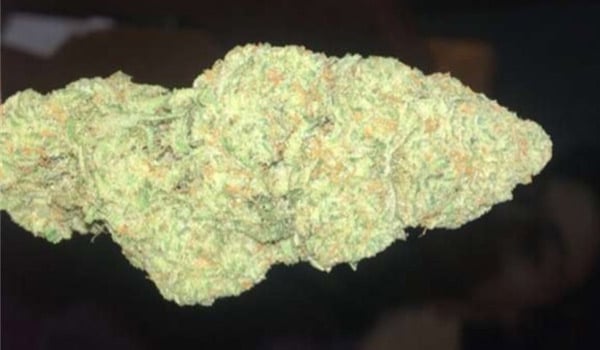 Blue Nina Strain Medical