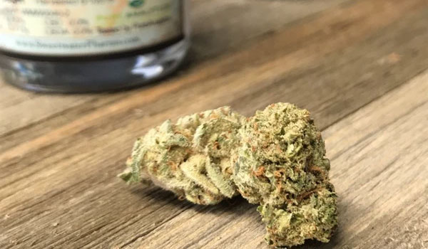 Bob Saget Strain Effects