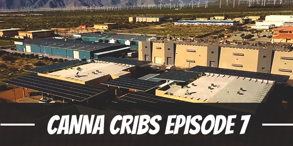 Canna Cribs Episode 7: Canndescent
