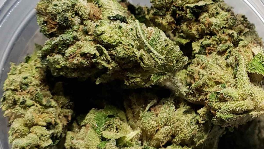 East Coast Sour Diesel Strain