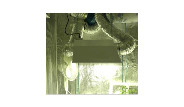 Great ways to prevent marijuana odors Vent