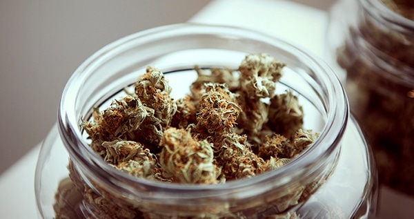 Best Way to Store Weed