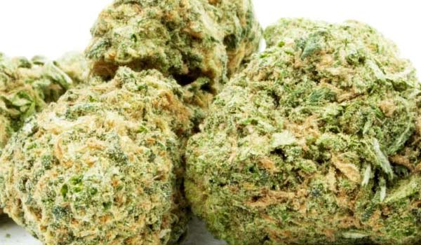Pink Sunset Strain Medical