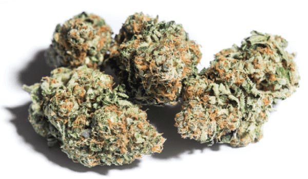 Scooby Snacks Strain Medical